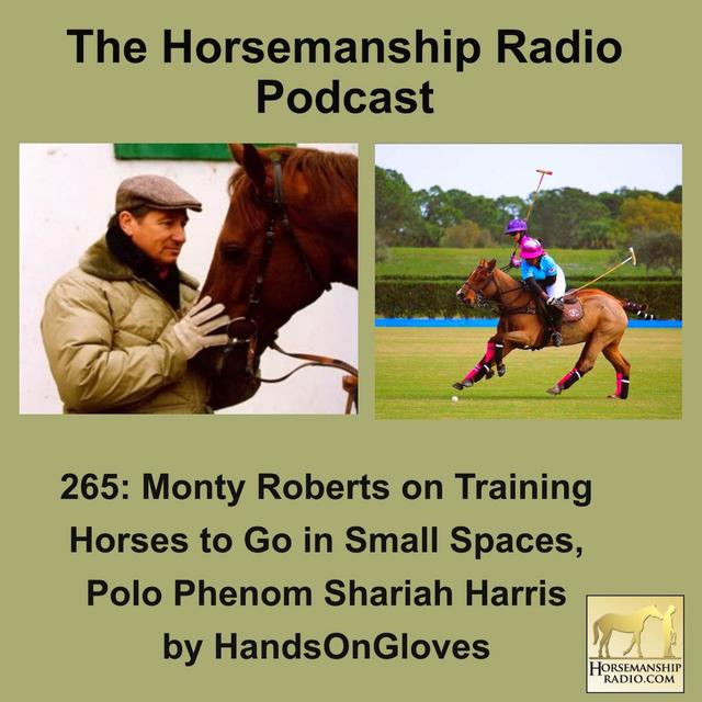 265: Monty Roberts on Training Horses to Go in Small Spaces, Polo Phenom Shariah Harris, by HandsOnGloves - podcast episode cover