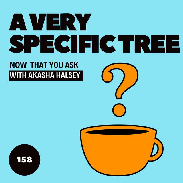 158. A Very Specific Tree - podcast episode cover