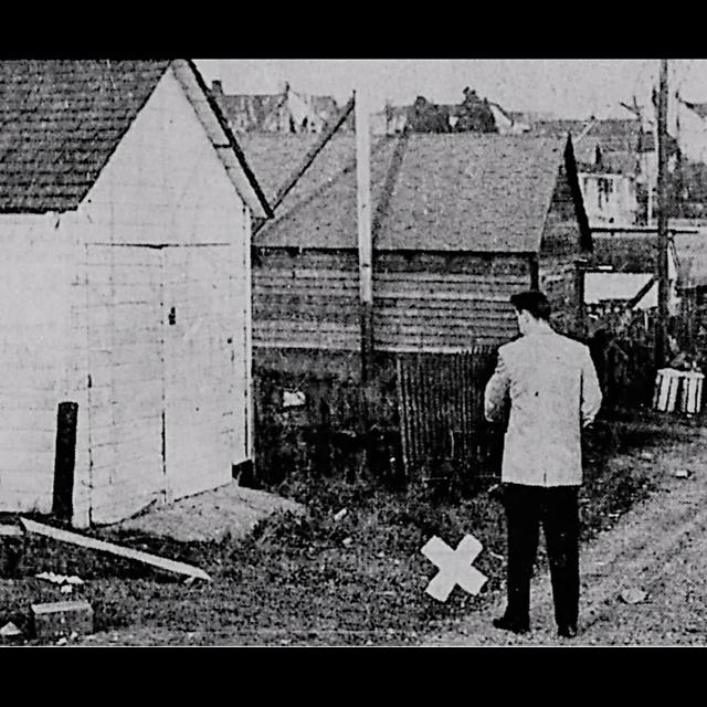 S1 E5: The Hastings-Sunrise Murder of Evelyn Roche - podcast episode cover