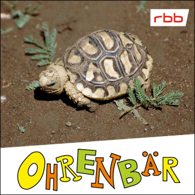 Die Tage ohne Bobby (6/7): Eine heiße Spur wird kalt - podcast episode cover