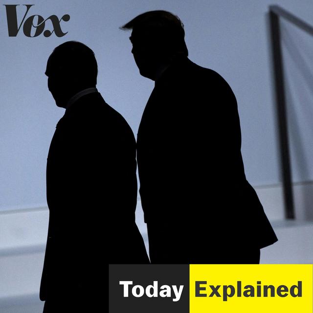 Vatever you vant, Vladimir - podcast episode cover