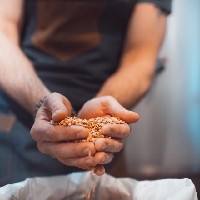 The Future of the Malt Market - podcast episode cover