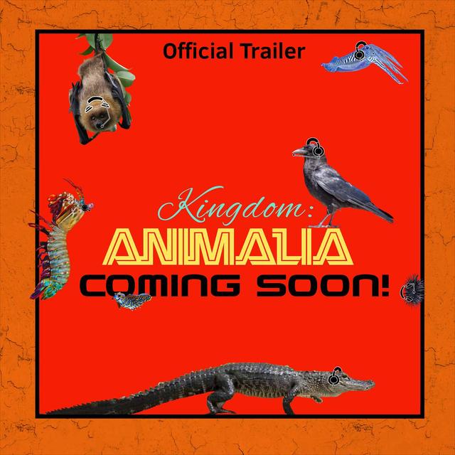 TRAILER: Kingdom: Animalia - podcast episode cover