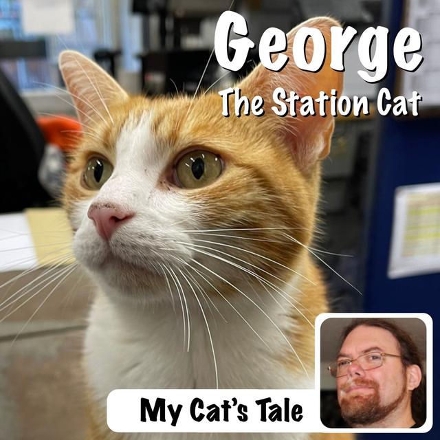 My Cat’s Tale: George The Station Cat - podcast episode cover