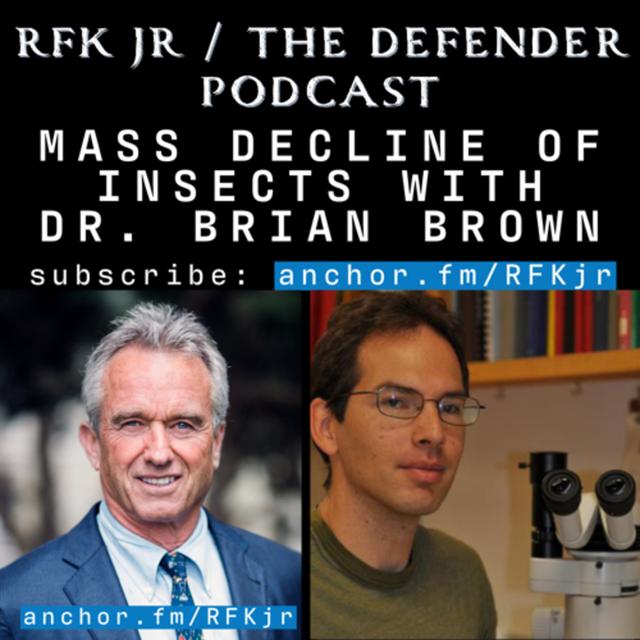 Mass Decline of Insects with Dr Brian Brown - podcast episode cover
