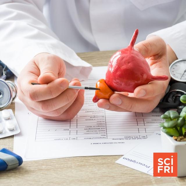What Are The Best Practices For Prostate Cancer Screening? - podcast episode cover