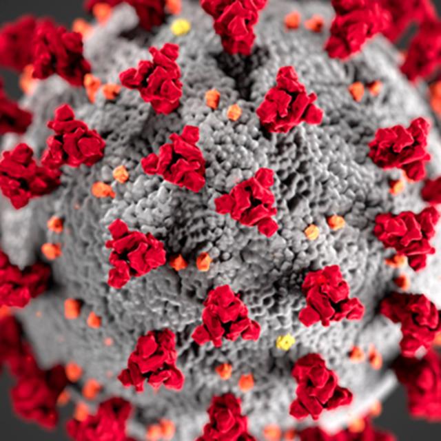 Prevention of Coronavirus Disease - podcast episode cover