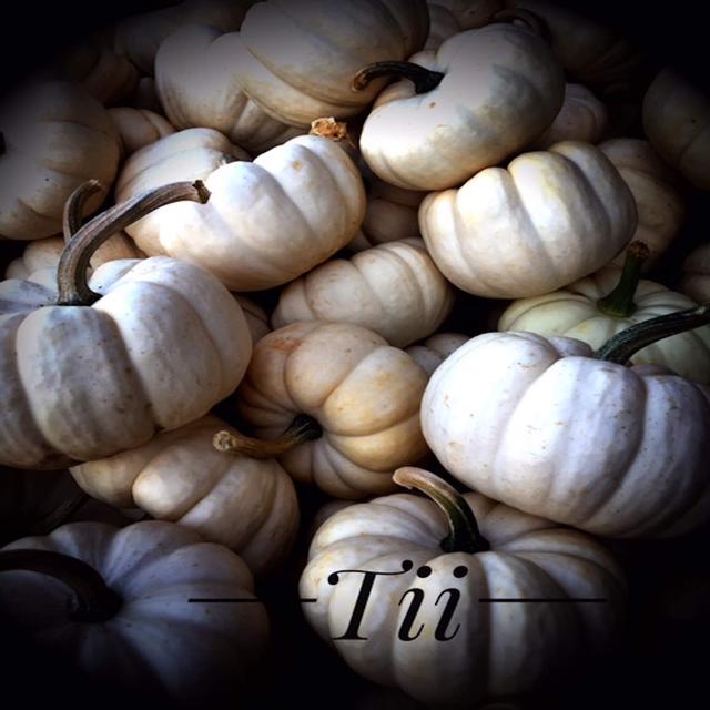 Tii - iTem 0410 - iOS 10.0.3 and 10.1 Beta 4 and 3 - podcast episode cover