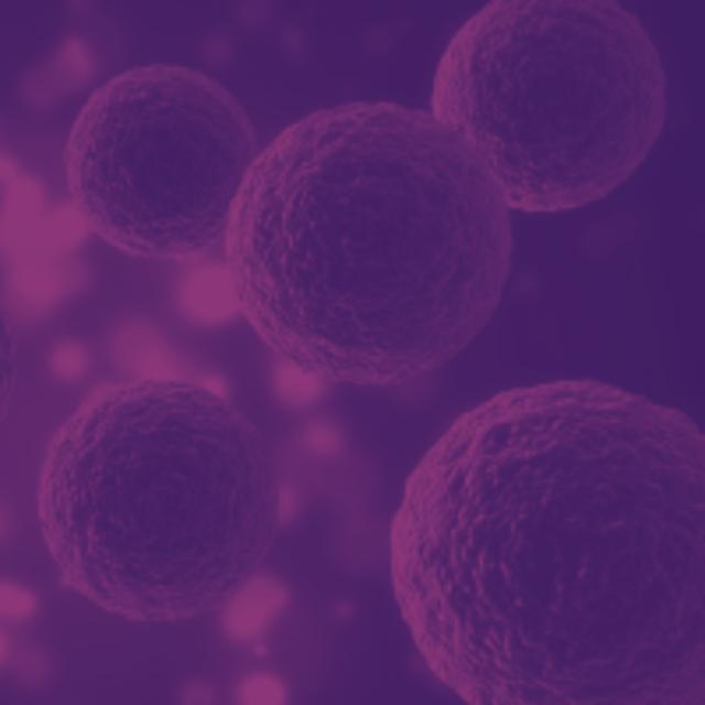 Cell therapies for autoimmune diseases: a podcast with Lindsay Davies - podcast episode cover