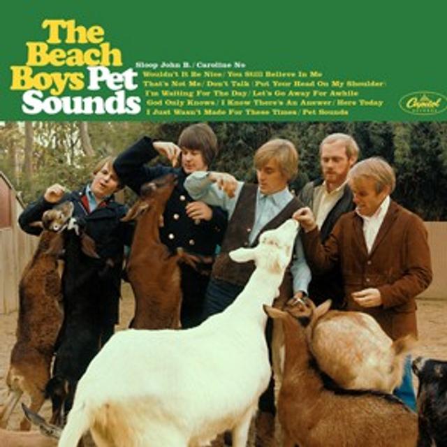 The Beach Boys-Pet Sounds Album Review - podcast episode cover