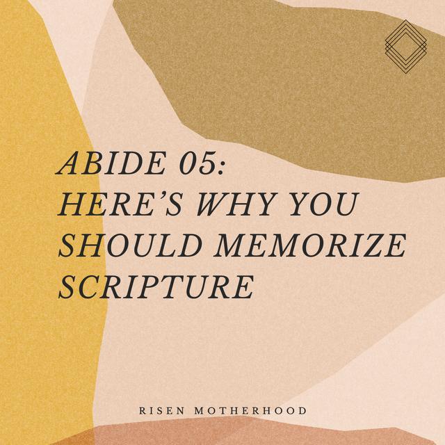 Abide 05: Here’s Why You Should Memorize Scripture - podcast episode cover