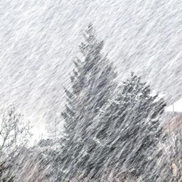 Snow Blizzard White Noise - podcast episode cover