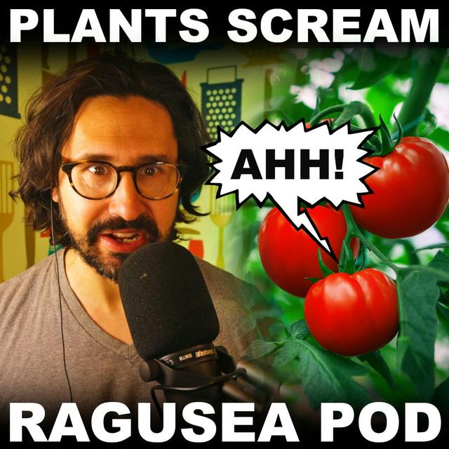 The sound plants make when you hurt them (E53) - podcast episode cover