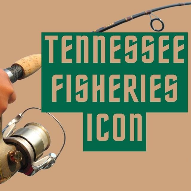 TW 391 - Tennessee Fisheries Icon - podcast episode cover