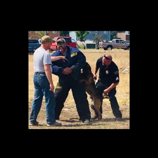 NO TARIFF ZONE & LETS LET THE DOGS OUT! - podcast episode cover