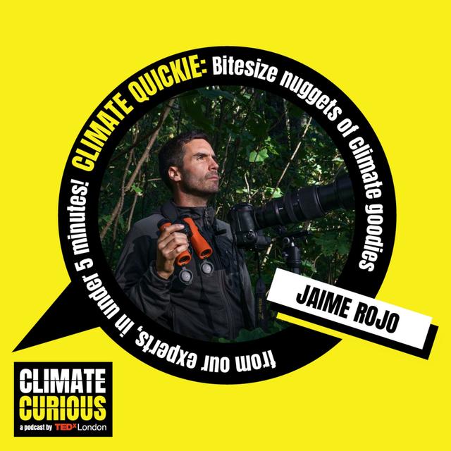 Climate Quickie: The extraordinary life of monarch butterflies - podcast episode cover