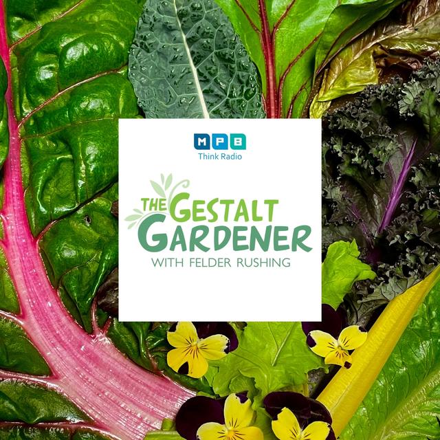 The Gestalt Gardener | Before the Road - podcast episode cover