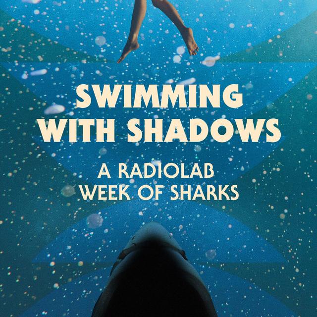 Swimming with Shadows: A Radiolab Week of Sharks - podcast episode cover