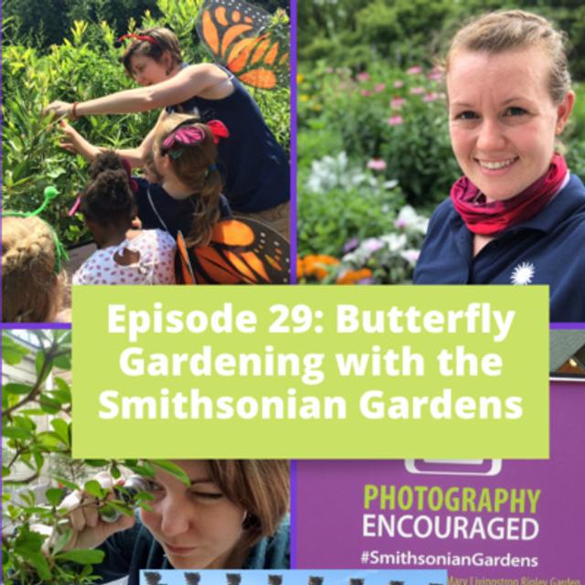 Butterfly Gardening - podcast episode cover