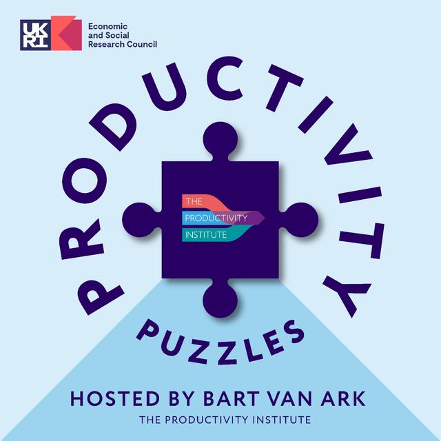 Making Public Sector Productivity Practical - podcast episode cover