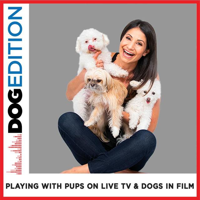 Playing with Pups on Live TV & Dogs in Film - podcast episode cover