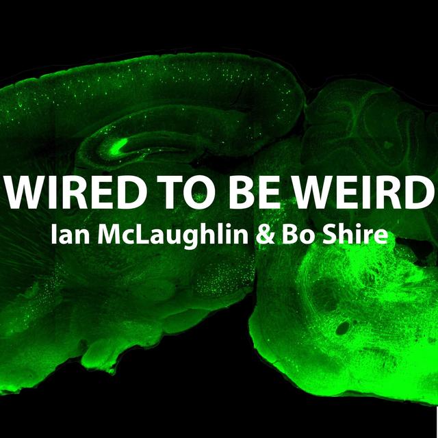 Why do we dream? Part 1 - podcast episode cover