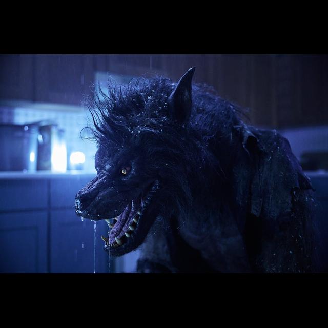 TFR Ep. 738: Werewolves, 5 Favorite Genre Actors - podcast episode cover