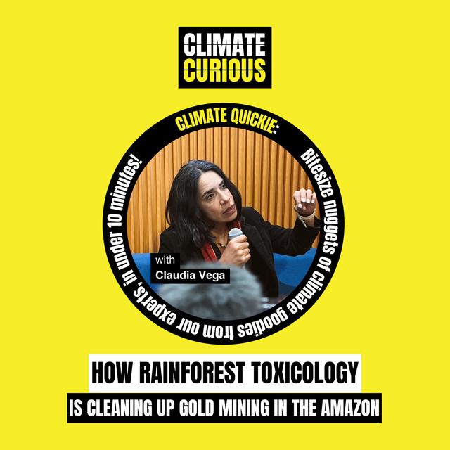 How a rainforest toxicologist is cleaning up gold mining in the Amazon - podcast episode cover
