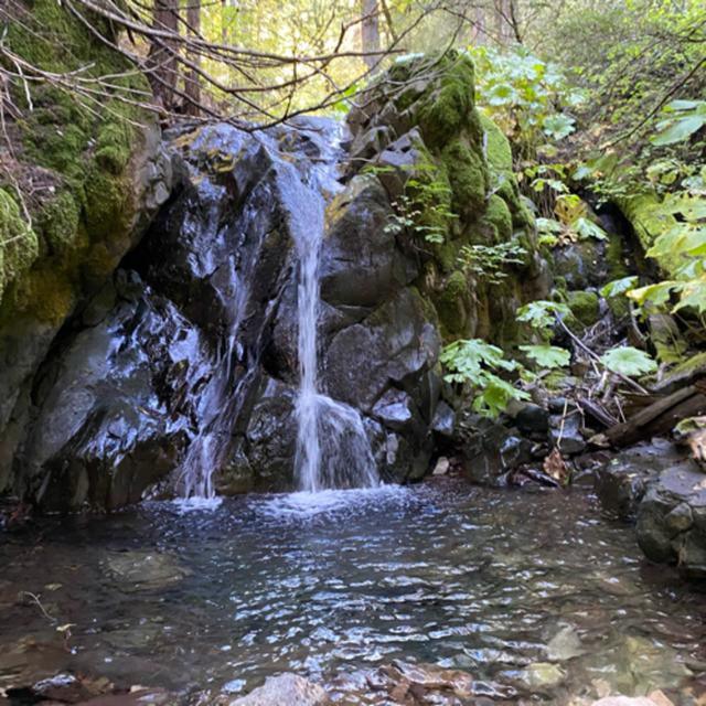 151: Autumn Day Beside Trough Creek - podcast episode cover