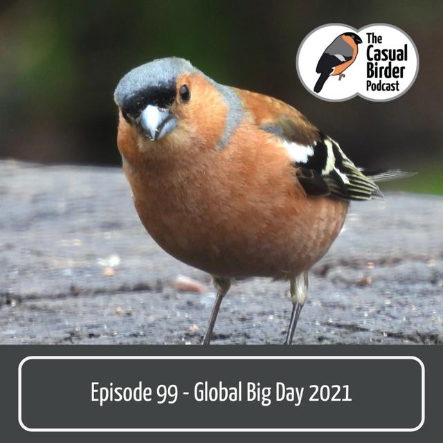 #99 Global Big Day 2021 - podcast episode cover