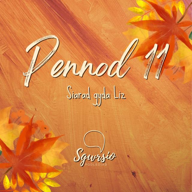 Sgwrsio Pennod 11 - Siarad Gyda Liz - podcast episode cover