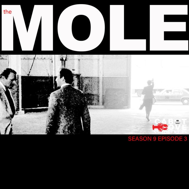 S09E03 - The Mole - podcast episode cover