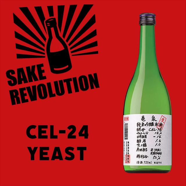 Kobo Chronicles: CEL-24 Yeast - podcast episode cover