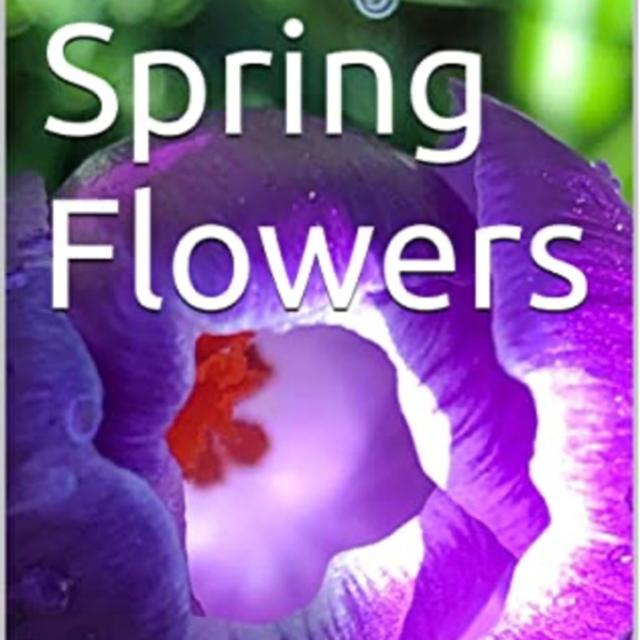 Spring Flowers Volume 56 Fancy by Daniel Lucas - podcast episode cover