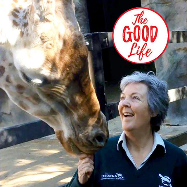 107. Erna Walraven on what wild animals teach us about leadership - podcast episode cover