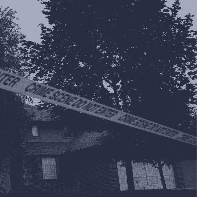 Political Violence In The U.S. - podcast episode cover