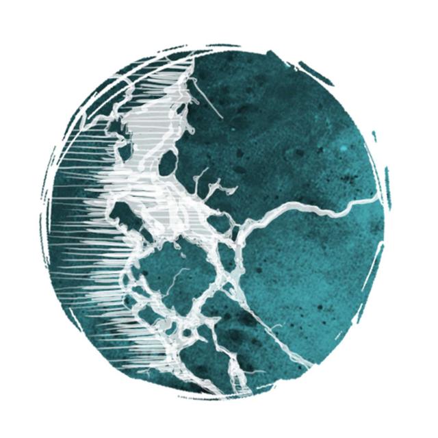 Skeena Estuary - critical salmon habitat - podcast episode cover