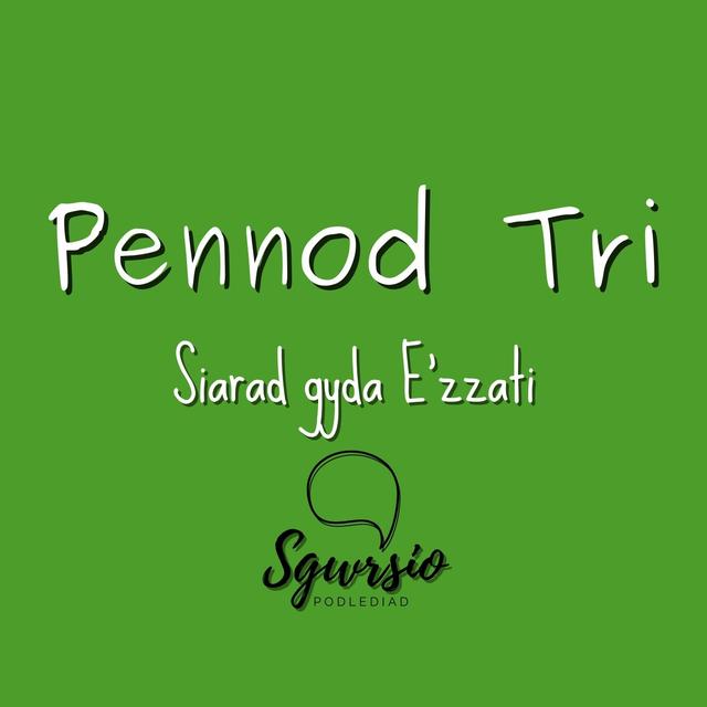 Sgwrsio Pennod 3 - Siarad gyda E'zzati - podcast episode cover