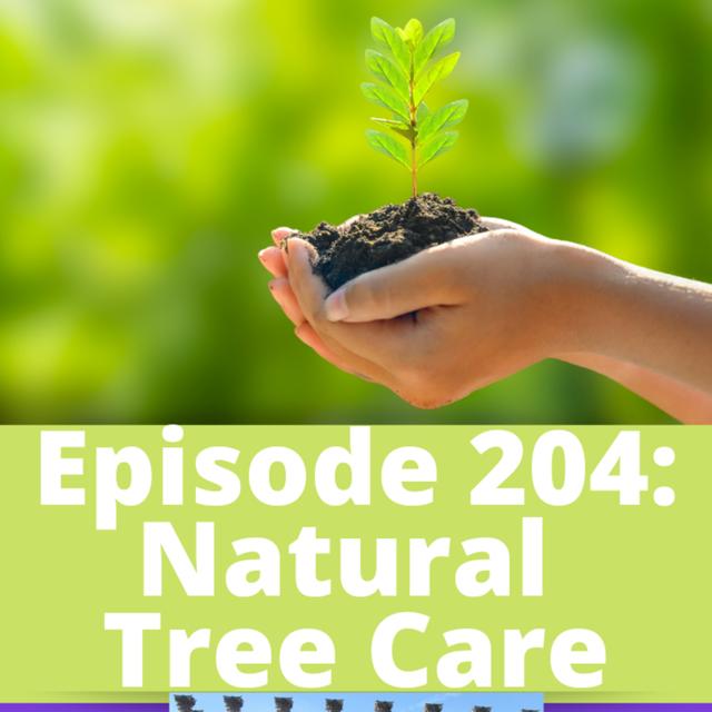 Natural Tree Care - podcast episode cover