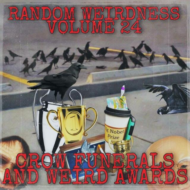 Random Weirdness 24: Crow Funerals & Weird Awards - podcast episode cover