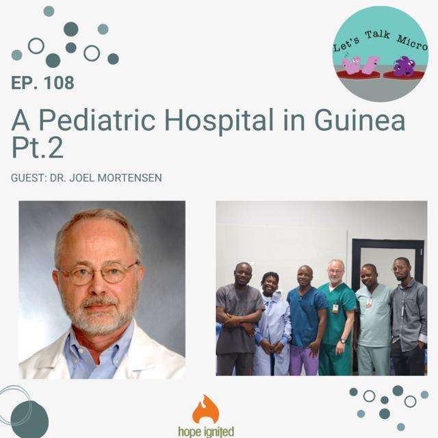108: A Pediatric Hospital in Guinea Pt.2 - podcast episode cover