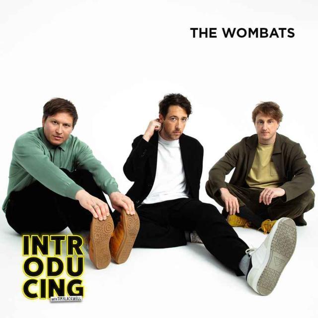 The Wombats - podcast episode cover