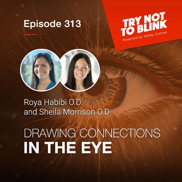 Drawing Connections in the Eye - podcast episode cover