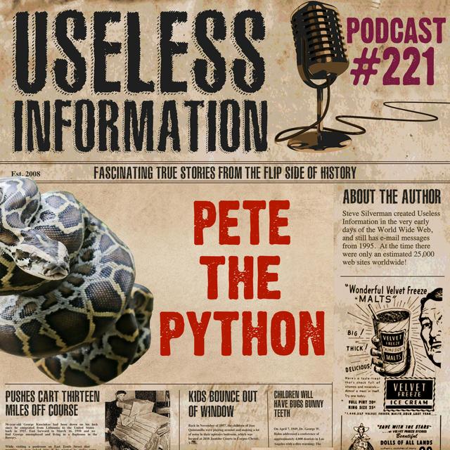 Pete the Python - UI Podcast #221 - podcast episode cover
