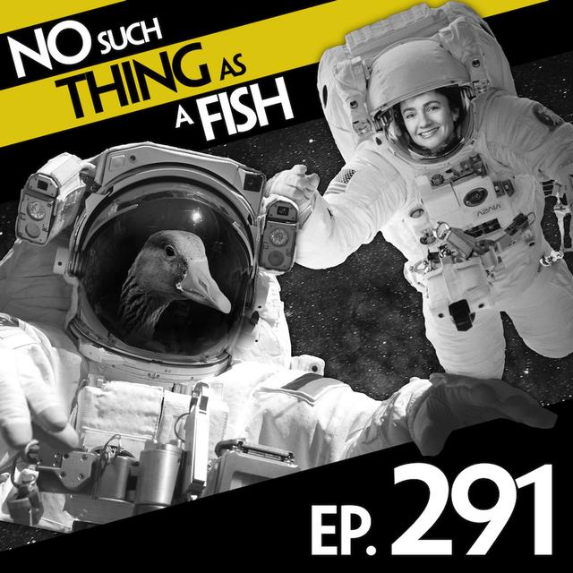 291: No Such Thing As A Quintruple-Cooked Chip - podcast episode cover
