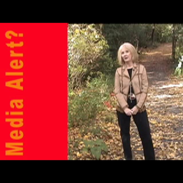 What's a Media Alert? - podcast episode cover