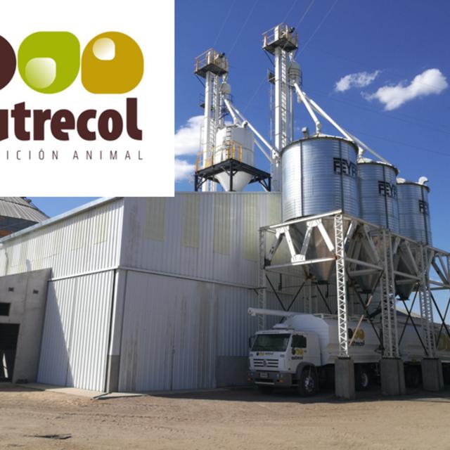Nutrecol - Nutrición Animal y Productividad Entrevista a Rodrigo Trezeguet - podcast episode cover