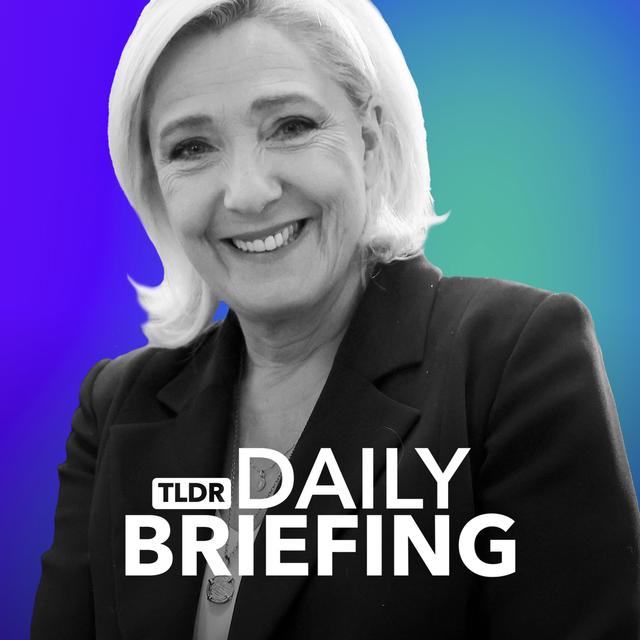 National Rally Wins the First Round: What Happens Next? - podcast episode cover