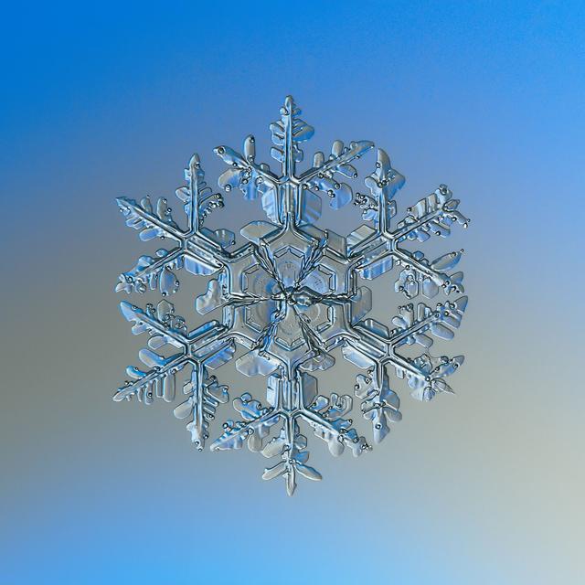 The Snow Show: Making Snowflakes with Peter Veals and Twila Moon - podcast episode cover