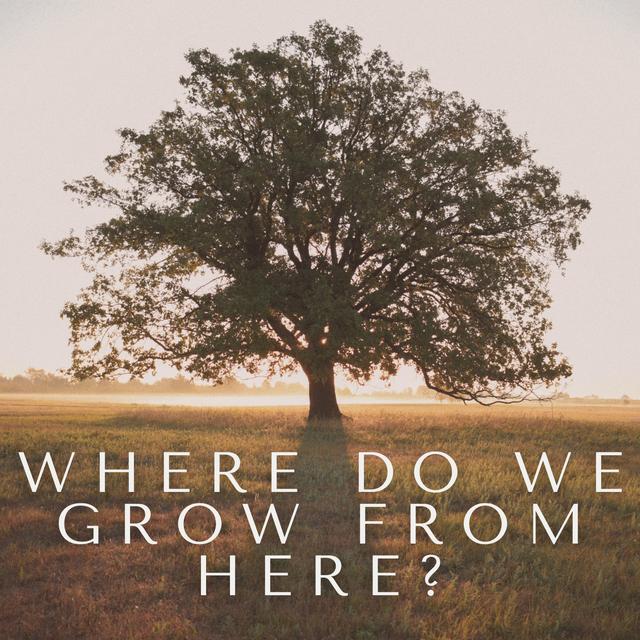 Matthew 21:18-32 | Where do we Grow from Here? - podcast episode cover
